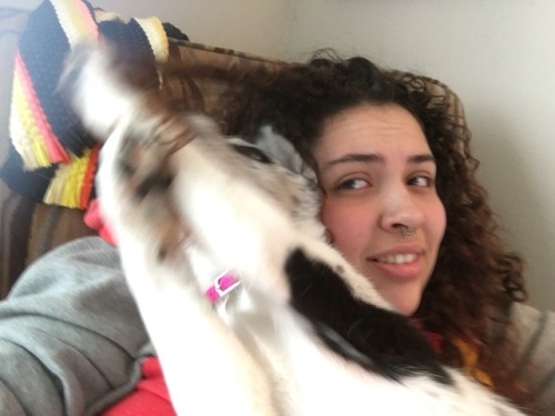Yes Hello 911 My Dog Is Fucking Crazy
