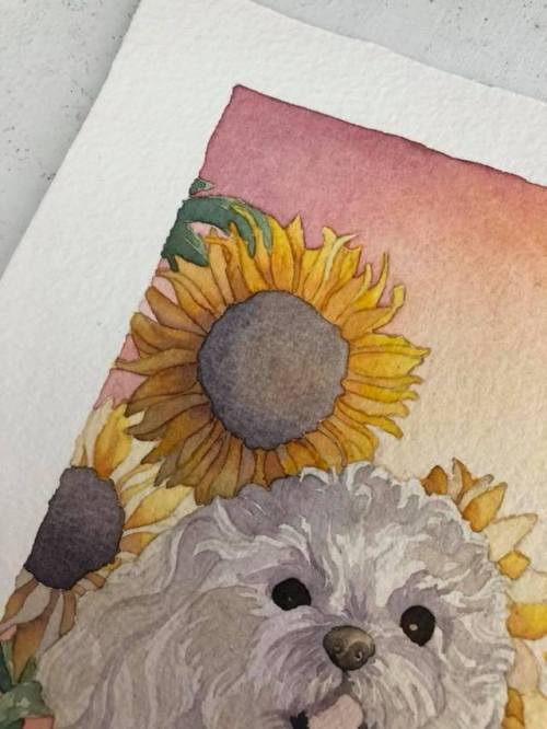 themajorbarkana: Watercolor flowers are one of my all time favorite things to paint.There’s somethin