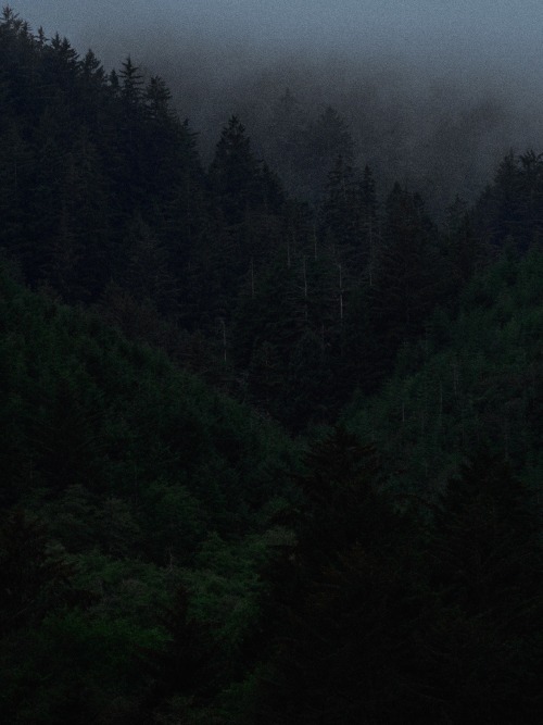 putridcrow - eugene