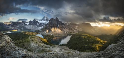 forest-nation:Sunburst Valley by Matt Jackisch