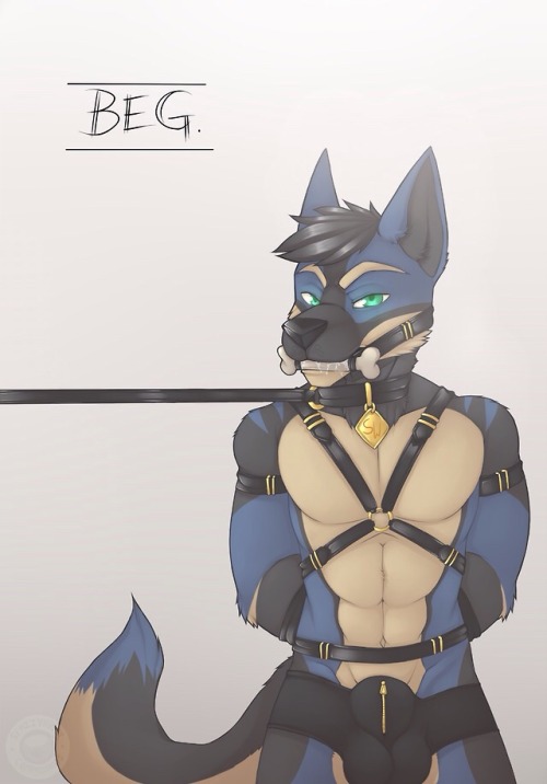 azure-n-saby: SpazzyHusky BDSM part two (canids from least liked to greatest liked but I love them all) 
