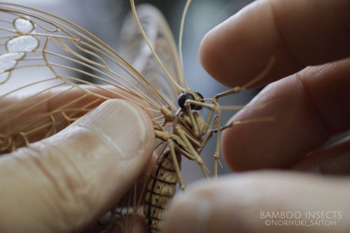 Yellow Helen butterfly entirely made from bamboo, by super skilled artist Noriyuki Saitoh (live pict