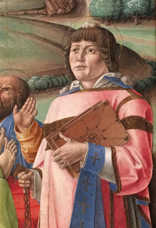 St. StephenBartolomeo Vivarini (Italian; active1450–91)1485Tempera on woodThe Metropolitan Museum of
