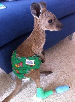 Failsnet:  Tumblr Fails.net - Get Well Son Little Thing