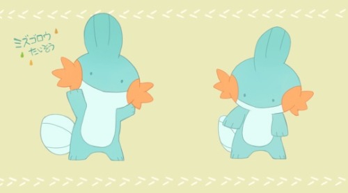 pokemondaycares:  ミズゴロウ たいそう 