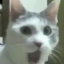 qxyl