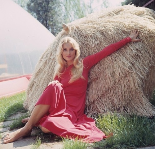 rarecultcinema:Barbara Bouchet