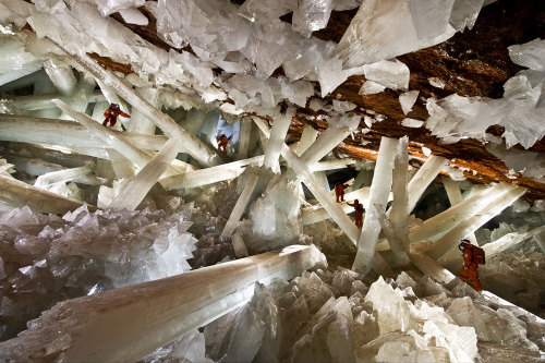 we-are-all-one-tribe:  rishu-jpn:  Naica, Mexico  You guys…..I watched a documentary on this today, absolutely breathtaking 