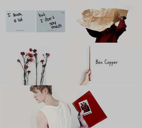 favorite character aesthetics: Rowan Khanna, Penny Haywood, Ben Copper, Bill Weasley, Nymphadora Ton