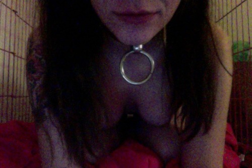 mistertorn:  thelaceserpent:  Sir put me in the cage in order to keep me focused on my homework. However, with access to the internet and websites like Tumblr, it doesn’t really matter if I’m caged or not, I’m going to be distracted anyway.  Now