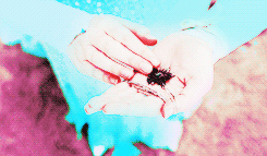 storybrooke:Once Upon A Time there was an enchanted forest filled with all the classic characters we