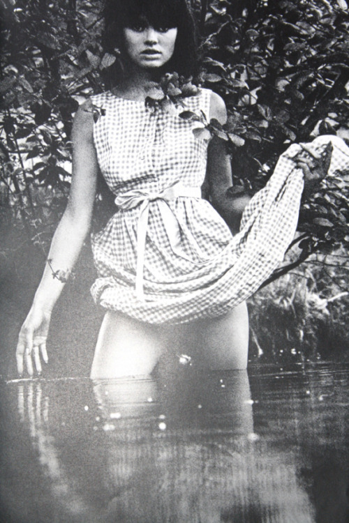 classyartgallery:  Mirror of Venus , 1972by Wingate Paine