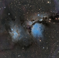 just–space:  M78 and the reflecting