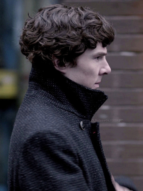 Sherlock Holmes, the supermodel of Baskerville.