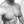 mizar76-italian: 