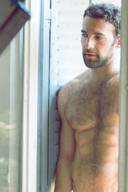 hairy-chests: http://hairy-chests.tumblr.com/