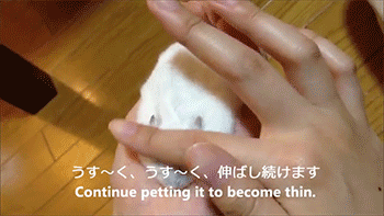 theycallmemoon: you too can make thin hamster 