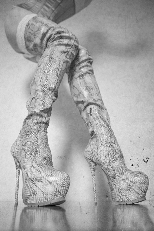 Python5-inch-and-more.tumblr.com/archive