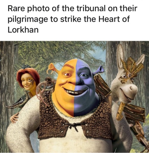 That Aligns Uncannily Well With This Meme I Found On R/teslore Last Week