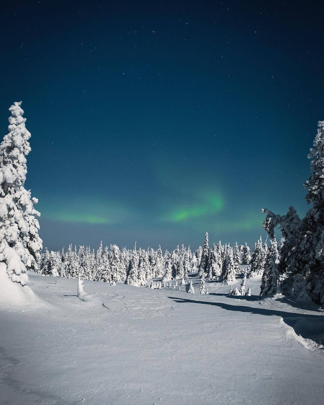 quiet-nymph:   Photography by Lauri K. 23 | FIN 