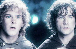 ohpippin:  There was a terrific splash, and a shout of Whoa! from Frodo. It appeared that a lot of Pippin’s bath had imitated a fountain and leaped on high. Merry went to the door. ‘Lawks!’ said Merry, looking in. The stone floor was swimming.