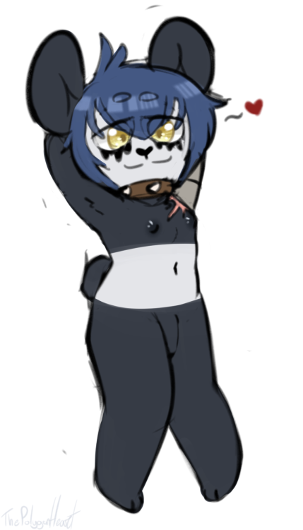 magicalporntime:panda boi from stream! Rawr~