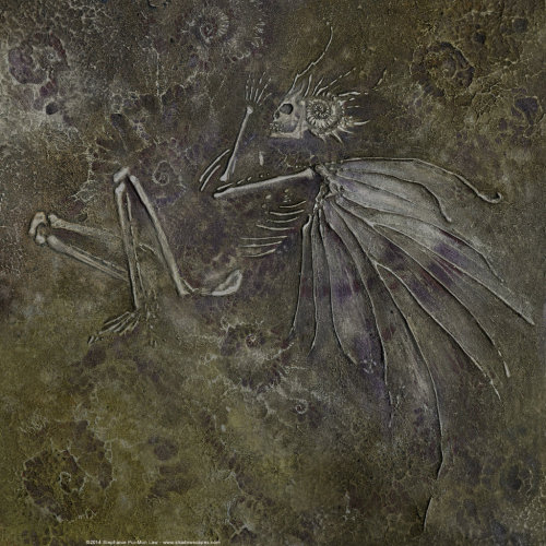 madcat-world:Fairy Fossil - puimun