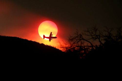 Dozens of wildfires are scouring California this summer in what may go down as the worst fire season