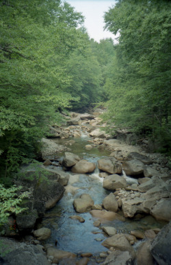 sarahshootsphotos:08.07.2001 - Franconia Notch - Cool clear water in the warm summer woods.
