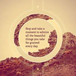 inspirationwordslove:  Take A Moment love