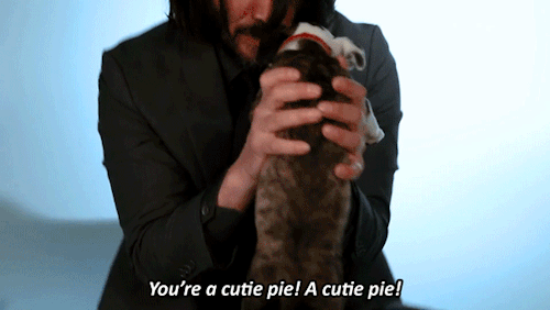 pajamasecrets: Keanu playing with puppies! Okay, this is wayyy too much cuteness
