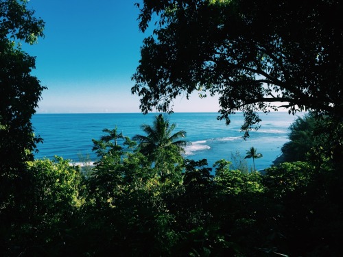 sadieraeee:  Need to go back already 