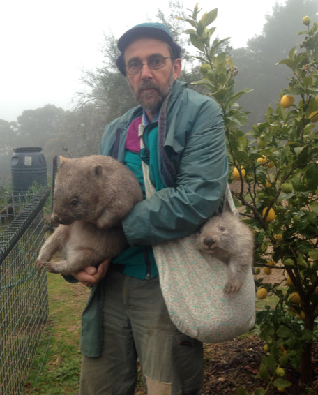 artemisiasea:Me walking into 2018 with a bag filled with wombats and a lemon tree by my side. All is