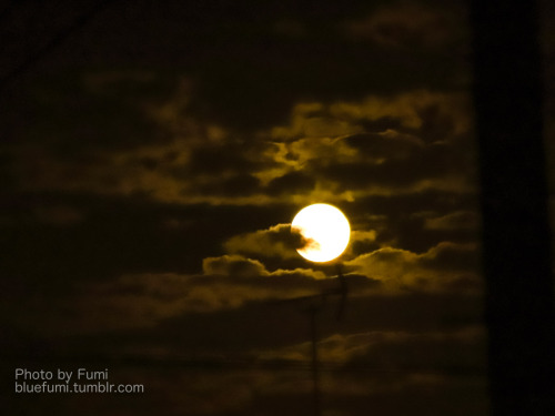 Harvest moon night天気予報通り、やっぱり曇りましたね。昨日はあんなに晴れて月が綺麗だったのに&hellip;月が見えなくてもお団子は食べます！.(Sep. 21, 2021)