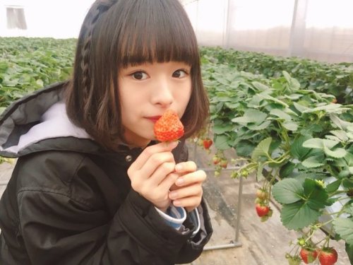NGT48情報botさんのツイート: 【インスタ2枚】02/28 15:16 #高倉萌香 t.co/dHaviPdlVX . いちご狩りにいきたい。。。。。 何回目だろうか、、、 ht
