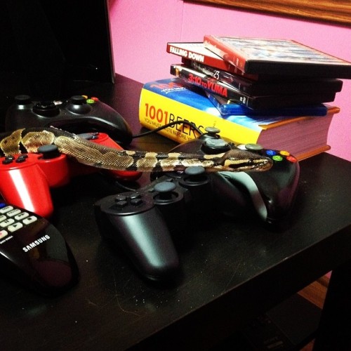 No one will ever take my controllers or my systems now :D #ballpython #antitheftdevice