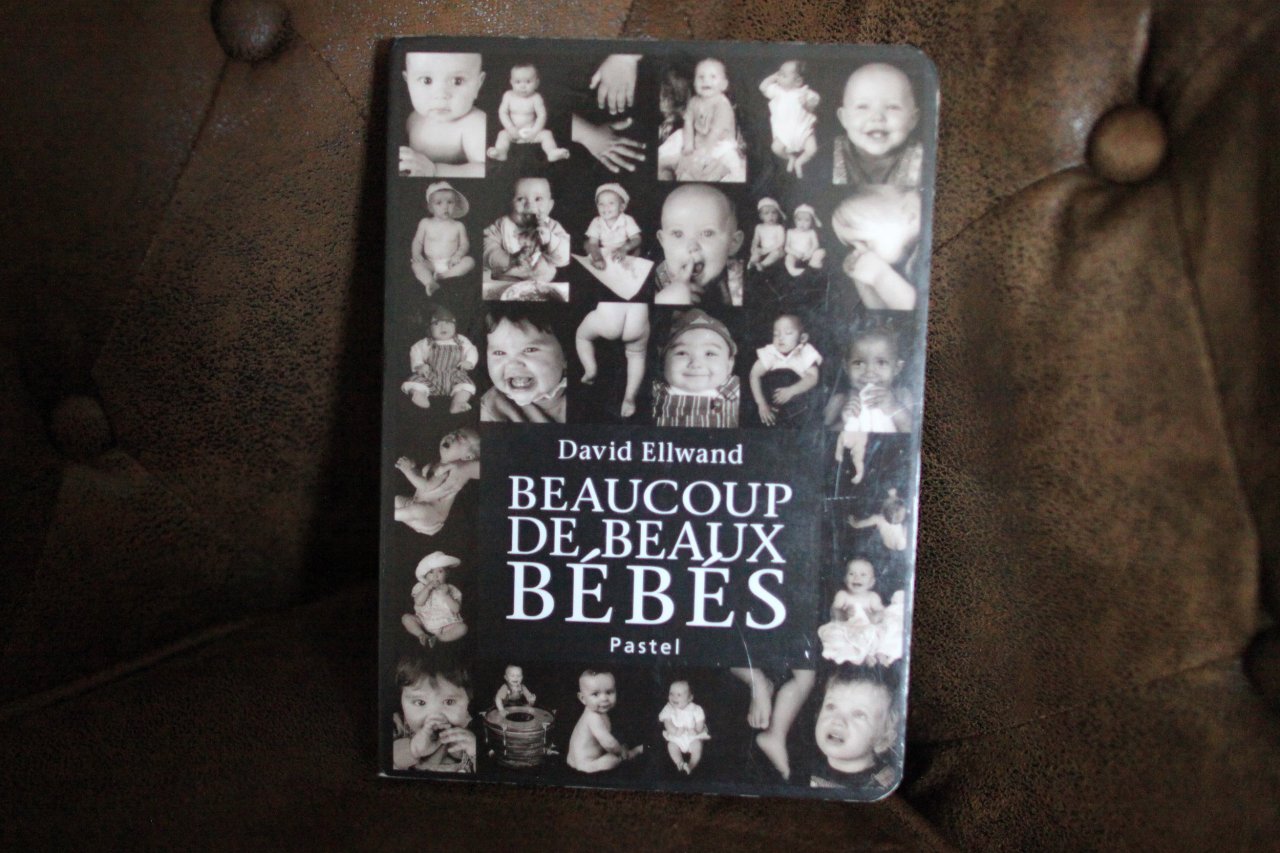 Les 5 Livres Preferes De Lou Les 5 Livres Preferes De Lou