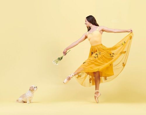 Blondebrainpower:  Dancer - @Burritojames , @Cltballet  Her Dog - Rex, Shi Tzu/Maltese