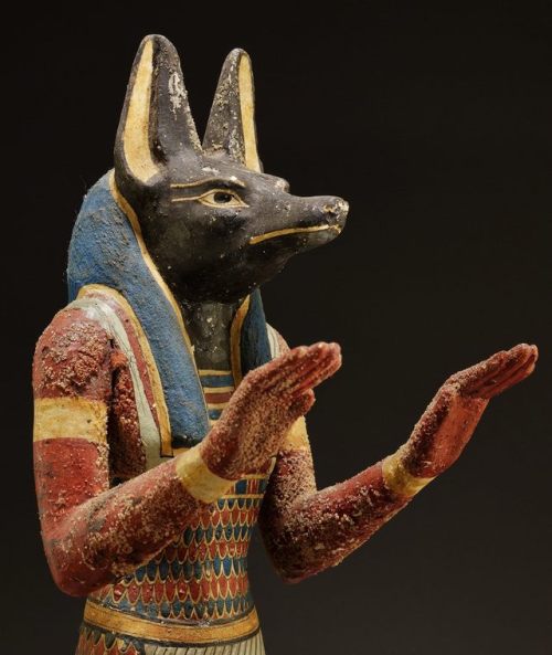 amntenofre: detail of a statuette (plastered and painted wood) of the God Anubis (jackal-headed),332