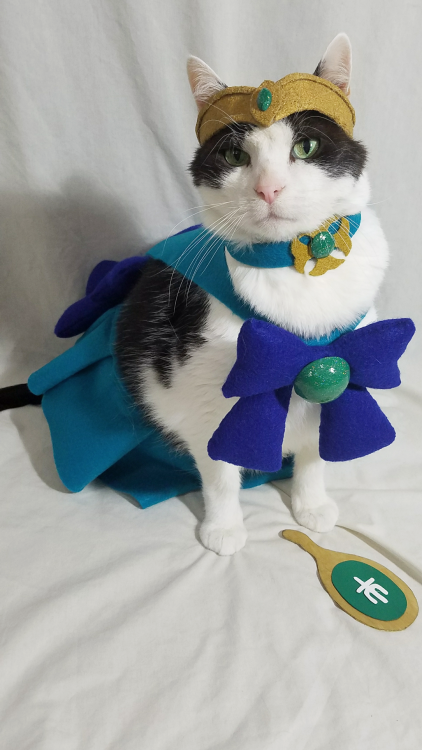 timeywimeyjedi:  Cosmo as Sailor Neptune