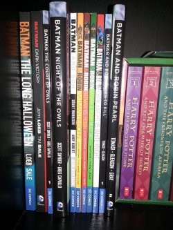 daily-superheroes:  Just started collecting Graphic Novels last week. Its not big but i’ll get there. Ive got everything on the sidebar on my list, any other recommendations?http://daily-superheroes.tumblr.com/