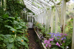 Porn photo rherlotshadow:Victorian glasshouse