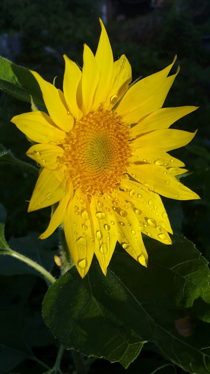 True beauty. Just exist. .. not for others, for yourself. You will attract the right