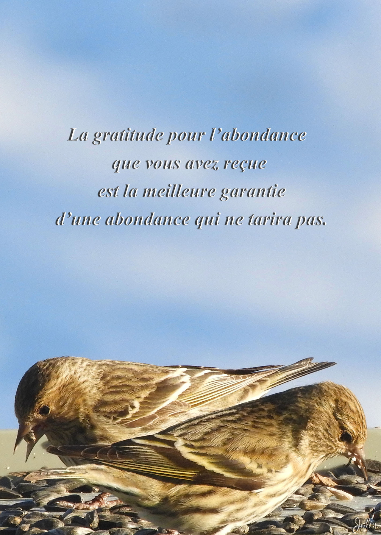 La Vie Dans Les Hautes