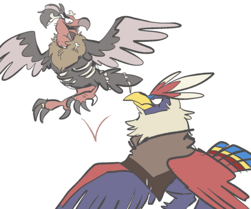 crocstew:  pokums 