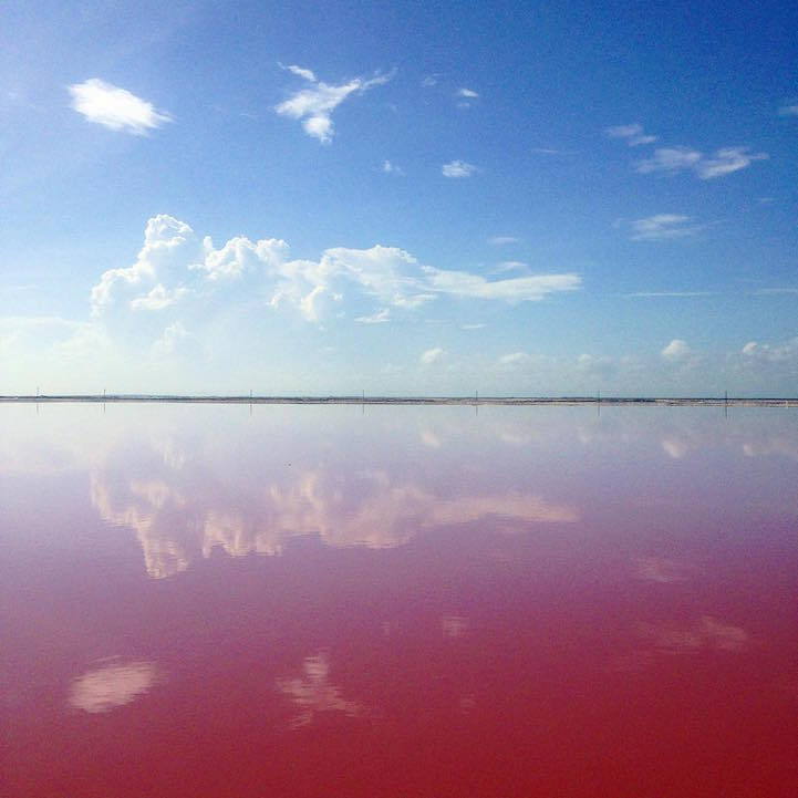 lesbian-lily:  fatbengal:  bobbycaputo:    Naturally Pink Lagoon in Mexico Is Like