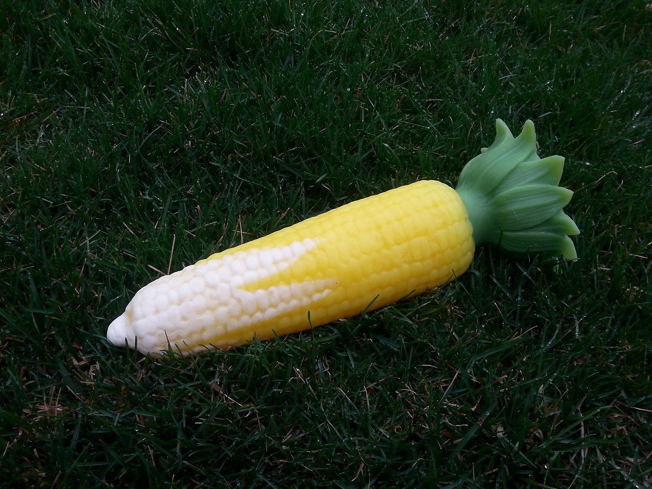 house-of-cum-guzzler: That’s one hell of a harvest!  Meet the @exotic-erotics