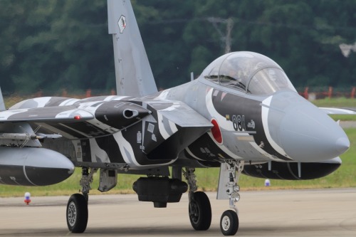 rocketumbl:  F-15DJ 