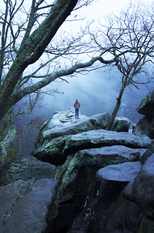 leavingmybody:foggy day at the rocks with @oneillphoto