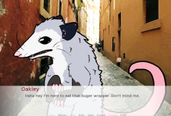 vivigator: jukkadurr:  vivigator:  soapinmybacon:  vivigator:  soapinmybacon:   vivigator:   Oakley Ore-Ida. Named after a tree and an empty bag of french fries. Bipolar opossum truest trash queen burn the world 1 million dead cops.   What even is this?